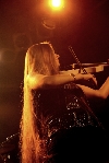 Ally the Fiddle