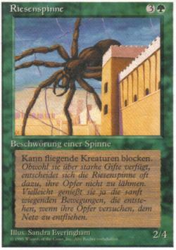 Riesenspinne