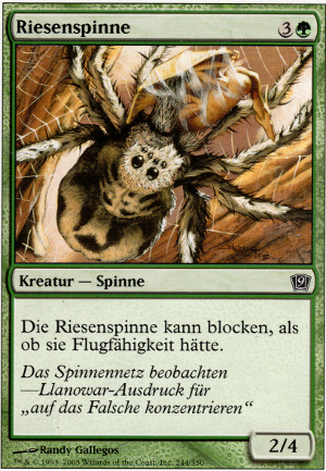 Riesenspinne