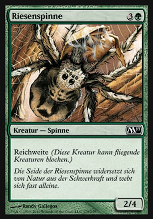 Riesenspinne