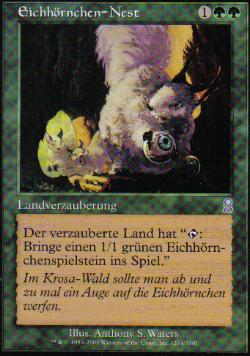 Eichhrnchen-Nest