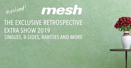 Mesh Involved 2019
