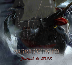 BarbarORhum: Journal de BOR