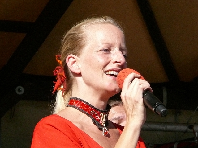 Die Streuner