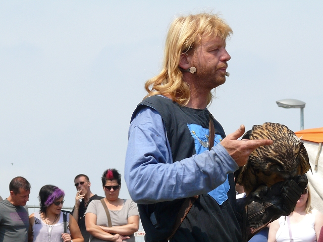 Falknerei-Vorf�hrung