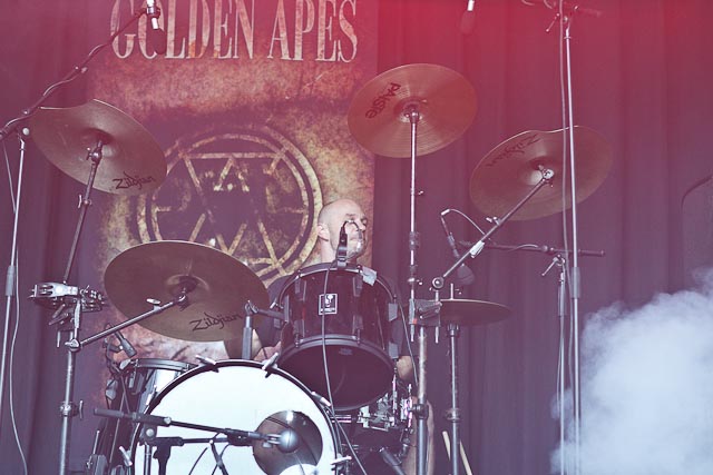 GOLDEN APES
