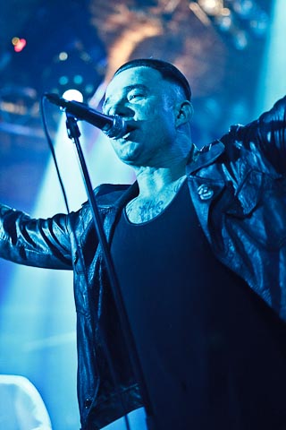Steinkind