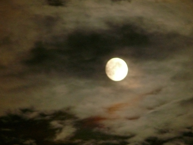 Beautiful Moonshine