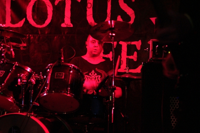 Lotus Feed