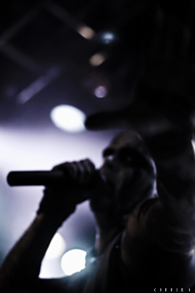 Primordial