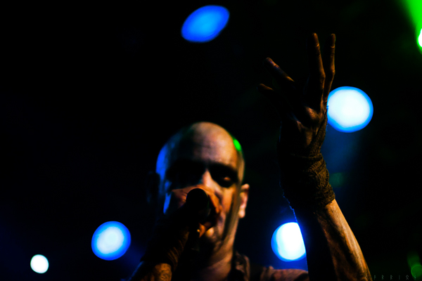 Primordial