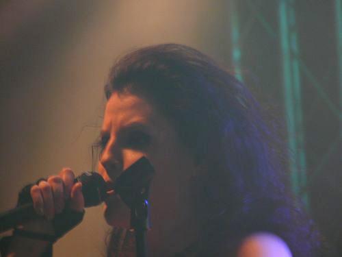 Sirenia