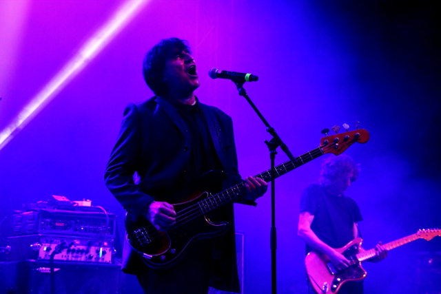 Chameleons Vox