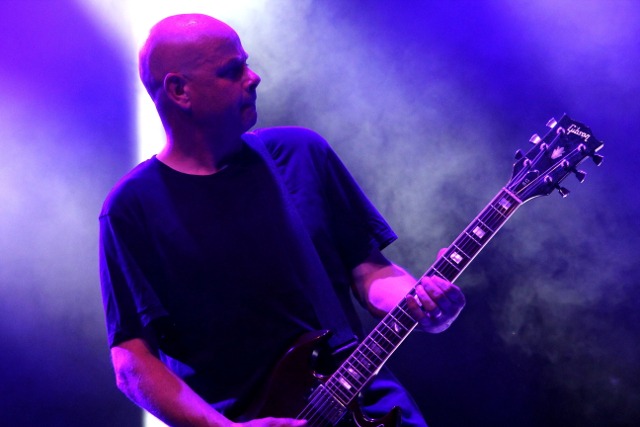 Chameleons Vox