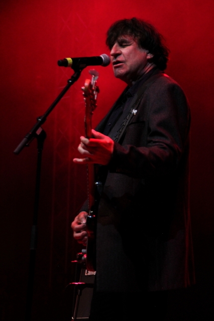 Chameleons Vox