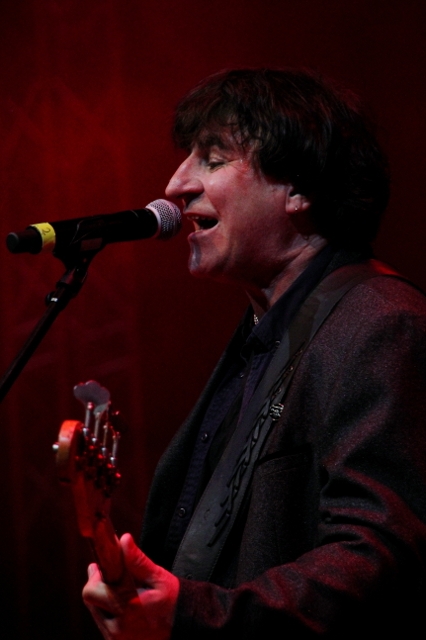 Chameleons Vox