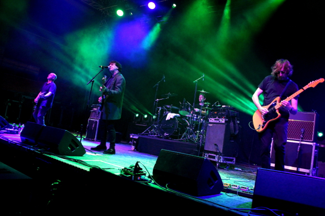 Chameleons Vox