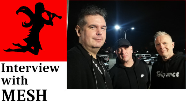 mesh Videointerview