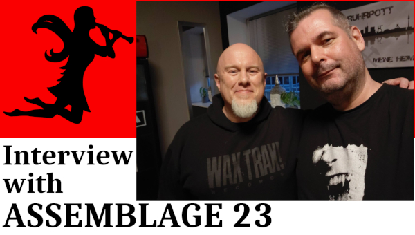 ASSEMBLAGE 23: 