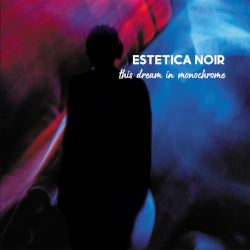 Estetica Noir: This Dream In Monochrome