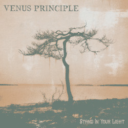 VENUS PRINCIPLE: Stand In Your Light