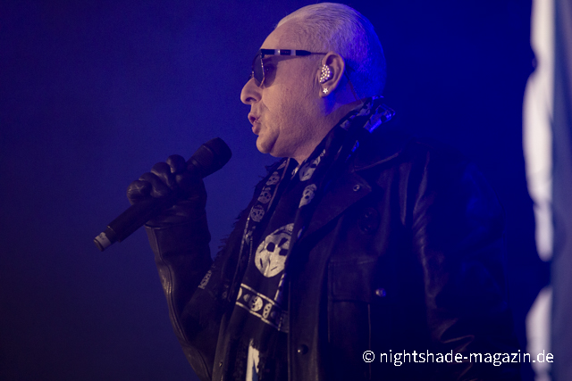 Holly Johnson