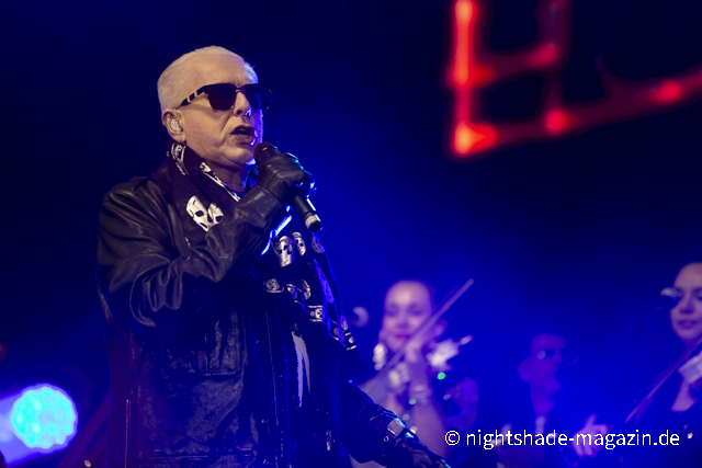 Holly Johnson