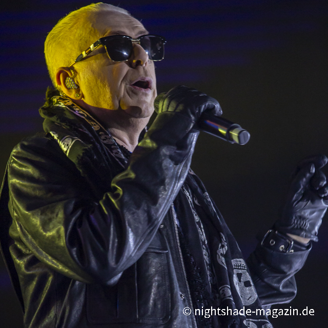 Holly Johnson