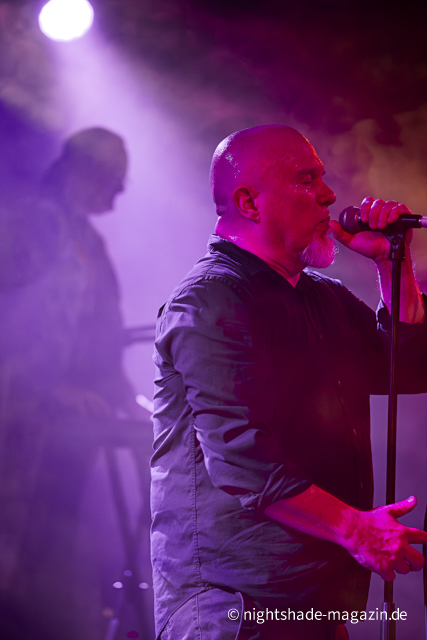 Assemblage 23