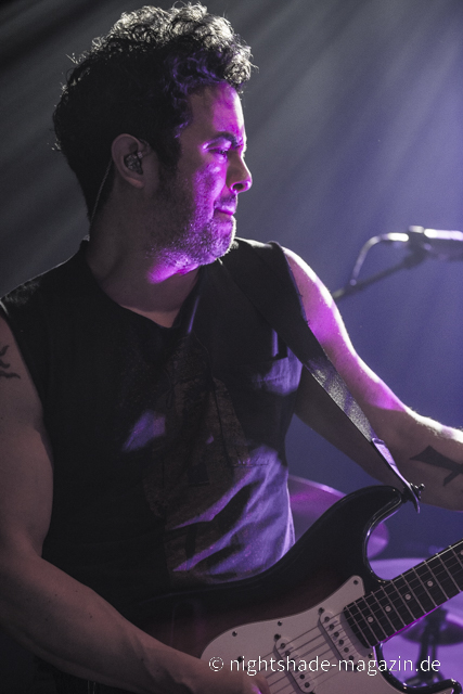 Andy Bell