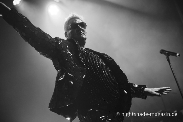 Andy Bell