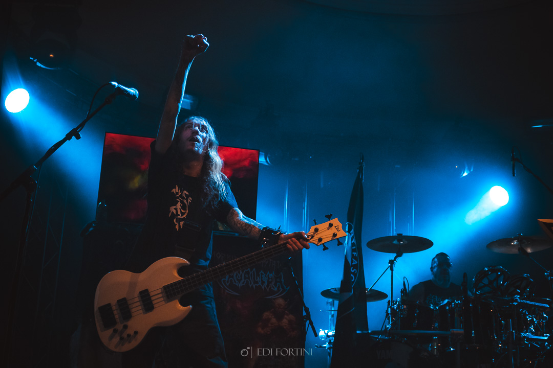 Cavalera