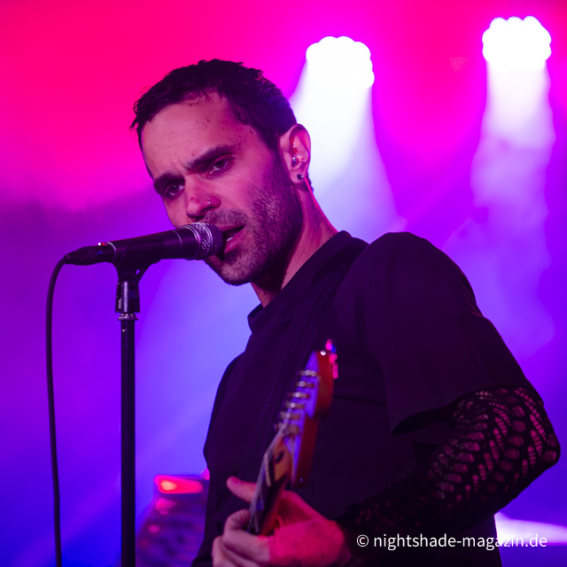 Diamond Dog im Ratinger Hof Duesseldorf Mai 2026