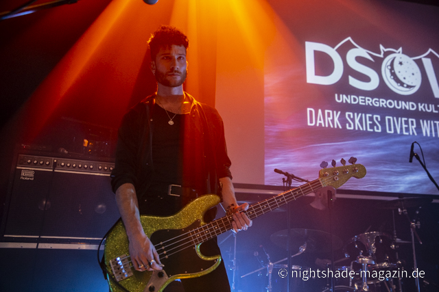 Diamond Dog