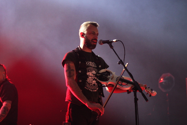 Paddy And The Rats