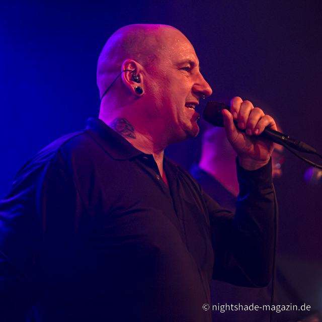 Echoes Of Rebellion 2025 - Beyond Border