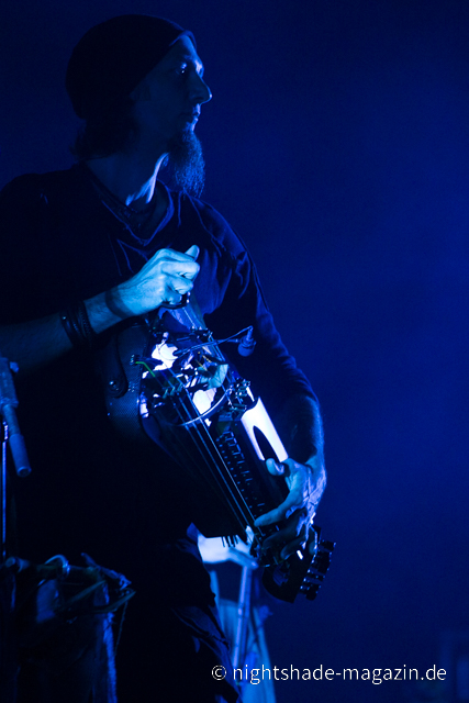 Faun