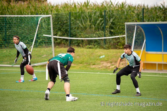 Mlheim Shamrocks vs Bielefeld Bulldogs