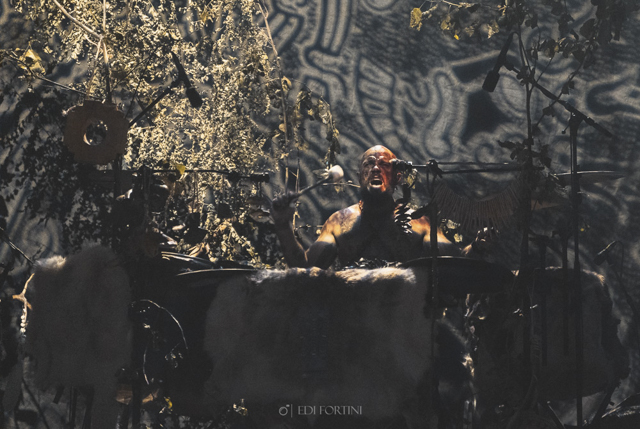 Heilung