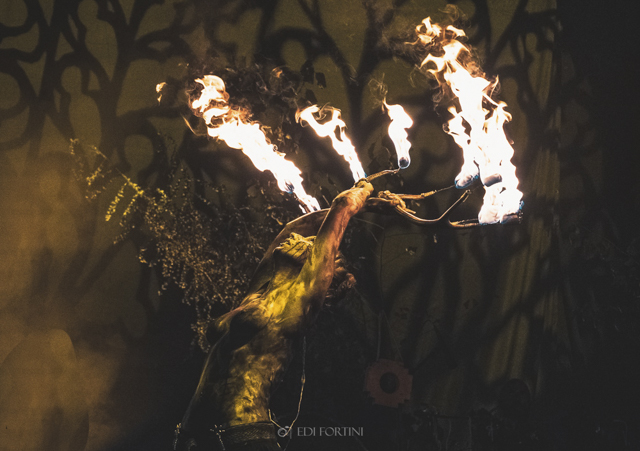 Heilung