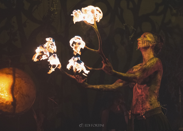 Heilung
