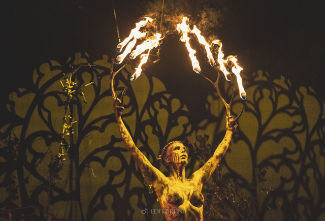 Heilung