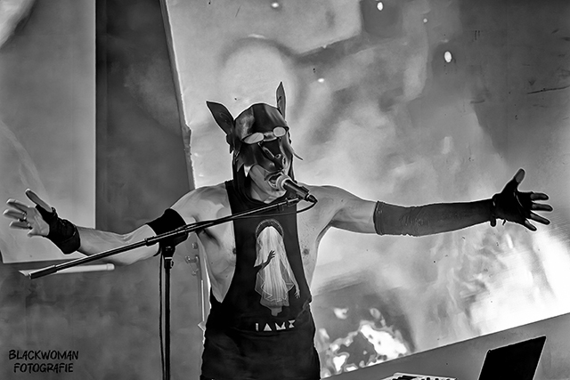 IAMX