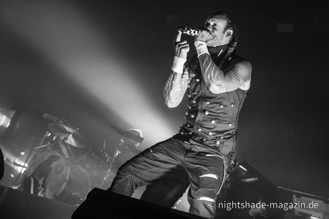 The Prodigy