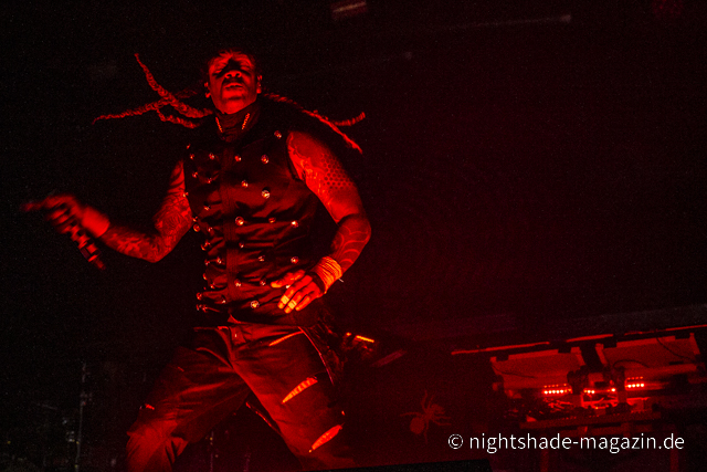 The Prodigy
