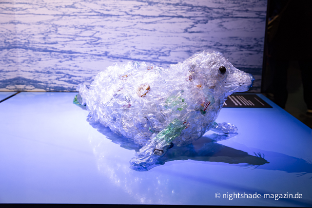 Polar Experience