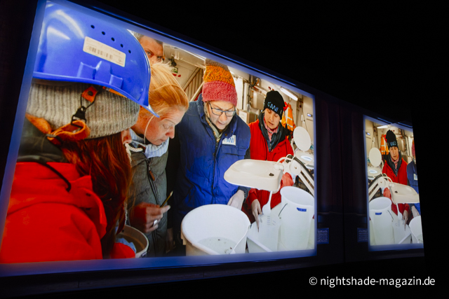 Polar Experience