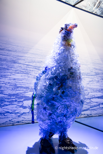 Polar Experience