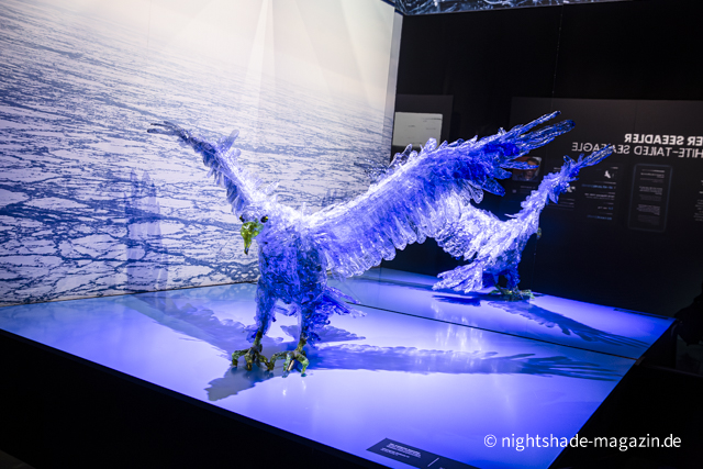 Polar Experience
