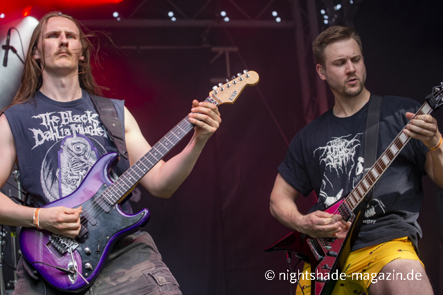 Fallbrawl
